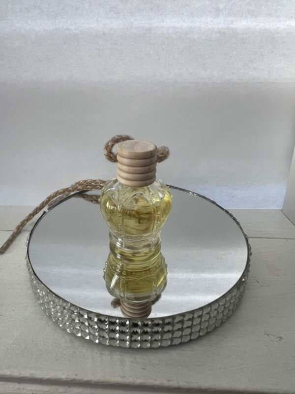 Hanging Fragrance Diffusers - Image 2