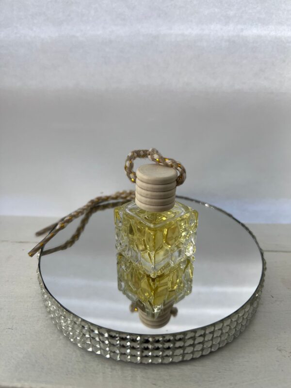 Hanging Fragrance Diffusers - Image 7
